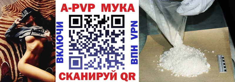 дарк нет телеграм Кушва Alfa_PVP СК