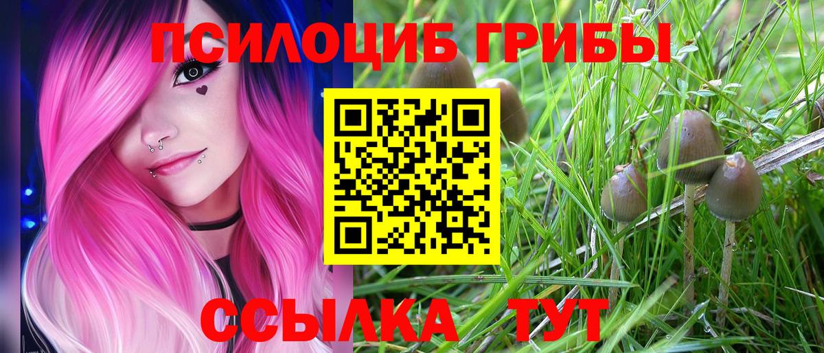 Галлюциногенные грибы мухоморы Кушва